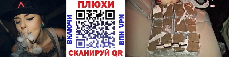 Купить Стародуб ГАШ гарик