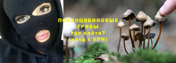 ГАЛЛЮЦИНОГЕННЫЕ ГРИБЫ Зеленодольск
