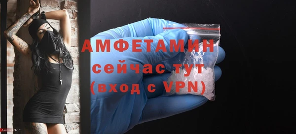 крисы Инта