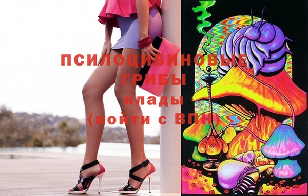 ГАЛЛЮЦИНОГЕННЫЕ ГРИБЫ Зеленодольск