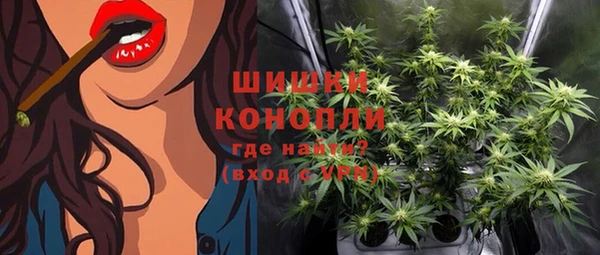 ПСИЛОЦИБИНОВЫЕ ГРИБЫ Сосновка