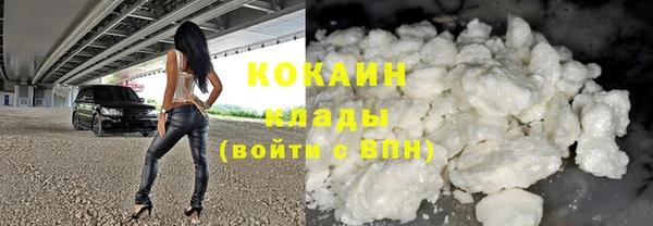 крисы Инта