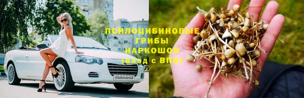 ГАЛЛЮЦИНОГЕННЫЕ ГРИБЫ Зеленодольск